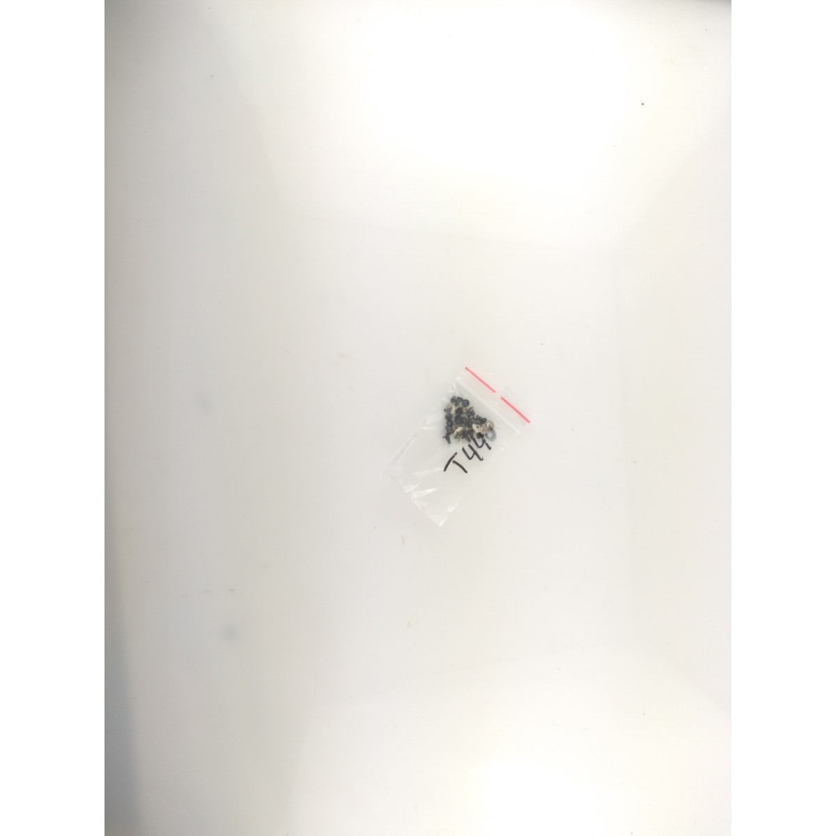 Komplet śrubek śrubki Lenovo T440