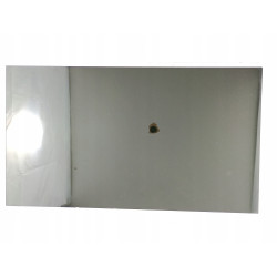Matryca LCD 15,6 B156XW02 V.6 HD 40pin kl.A
